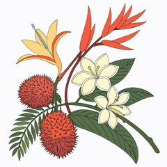Tropical floral bouquet illustration rambutan plumeria bird of paradise