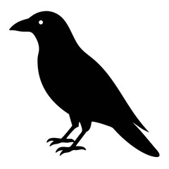 Raven Bird Silhouette