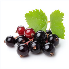 "Close-up Photo of Fresh Black and Red Currants with a Green Leaf on a White Background, Highlighting the Juicy, Vibrant, and Natural Beauty of These Delicious Berries"

