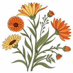 Autumnal flower bouquet illustration orange yellow flowers