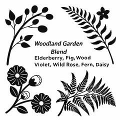 Woodland garden blend elderberry fig wood violet wild rose fern daisy botanical illustration