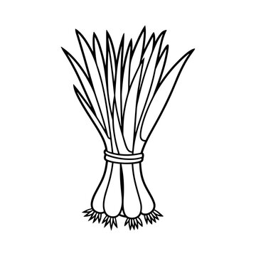 black and white bunch of scallions clip art preview