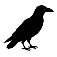 Black Crow Bird Vector 