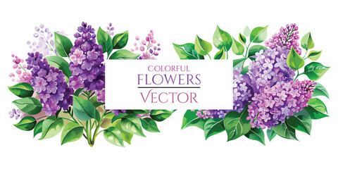 Vibrant Lilac Flowers Vector Art - Purple Watercolor Clip Art for Digital Creations