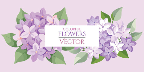Vibrant Lilac & Syringa Vulgaris Vector Art - Colorful Floral Graphics for Digital Projects