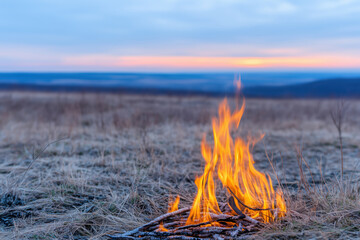 a fire burns among dry grass