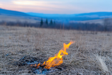 fire among dry grass close-up