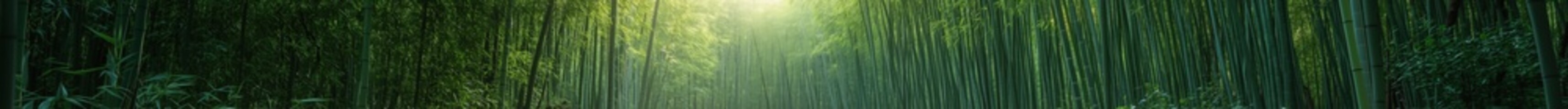 horizontal banner with bamboo grove landscape
