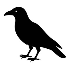 Black Crow bird silhouette