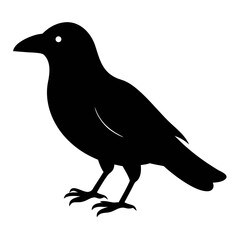 crow illustration, gothic
