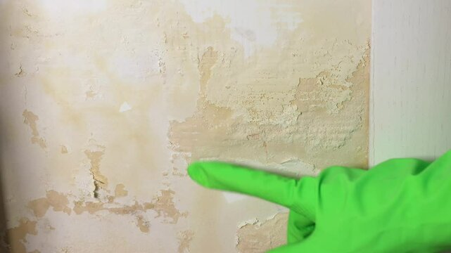 Woman in gloves showing flooded wall. The wall is peeling near the heating radiator. Pipe leak problem. Renovation concept. Close up, 4k footage.