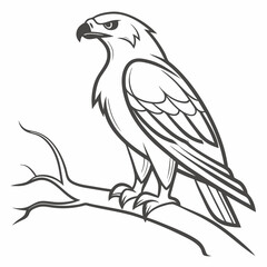 Obraz premium Majestic eagle perched on branch line art illustration