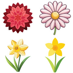 set of flowers isolated on white