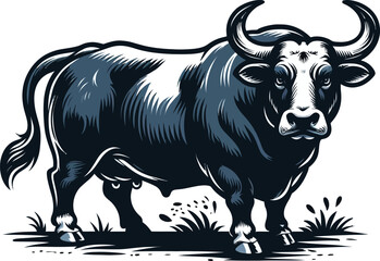 Fototapeta premium vector illustration of a bull