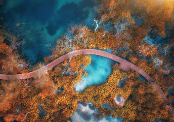 Aerial view of blue lakes in red autumn forest at sunrise. Morning in Plitvice Lakes park, Croatia. Colorful landscape with azure water, trees, wooden trails and bridges, orange foliage. Top view