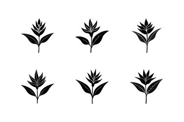 heliconia with vibrant colors vector art silhouette