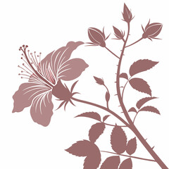 seamless pattern with rose of sharon passionflower