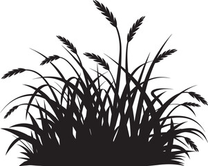 A Silhouette of Tall Grass Blades – Monochrome Nature Element for Organic Designs, grass silhouette isolated on white