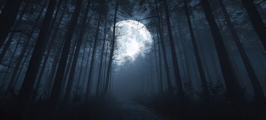 The haunting beauty of a moonlit forest path shrouded in fog.