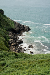 Rocky Ocean Shoreline with Wild Grass