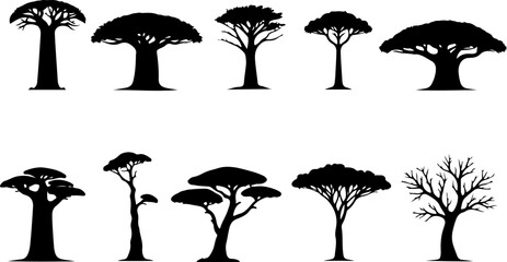 Tree  Vector Silhouettes  Bundle Collection