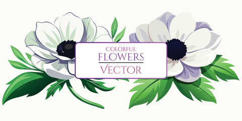 White Anemone Flower Vector Art - Elegant Floral Illustrations for Digital Design