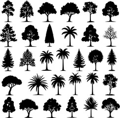 Tree  Vector Silhouettes  Bundle Collection