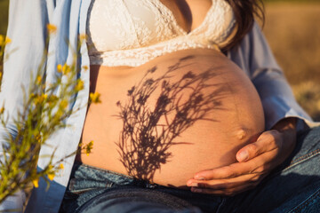 Close-up of pregnant belly with flower shadow in soft sunset light. Lifestyle.