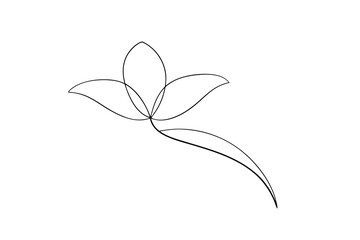 Simple line drawing of a delicate flower blossom