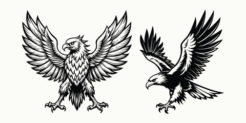 Spread Eagle Vector Art - Black and White Majestic Eagle Illustrations