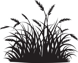 A Grass Silhouette in Black and White with Curved Blades Symbol of Wild Nature and Growth, vector silhouette of a plant