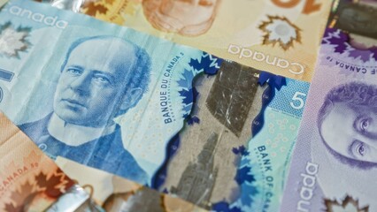 Canadian banknotes featuring diverse denominations are laid out showcasing the country's currency in vivid detail.