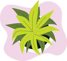 Decorative indoor house plant vector with pot and abstract background for home decor, greenery, minimalist interior and lifestyle concepts