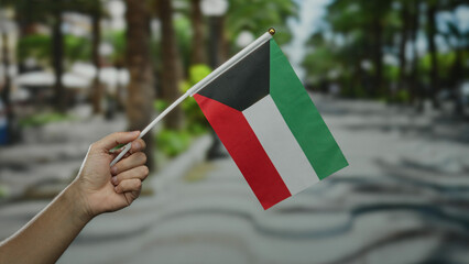 Man holding kuwait flag on street in outdoor urban city setting with blurred palm trees...