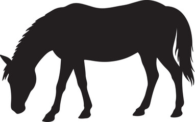 Fototapeta premium silhouette of a horse