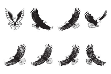 Obraz premium Powerful Eagle Designs for Tattoos, Logos, and More
