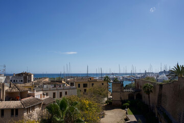 Fototapeta premium Scenic view of coastal marina with yachts, palm trees, and historic buildings under clear blue sky in Mallorca 