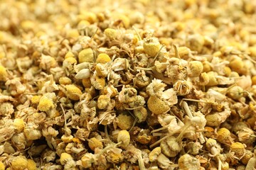 Dry chamomile flowers as background, closeup view