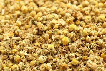 Dry chamomile flowers as background, closeup view