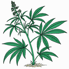 isolated-png-cutout-of-a-plant-on-a-transparent-ba (2).eps