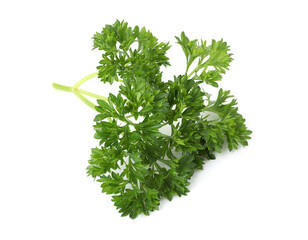 Sprig of fresh parsley isolated on white, top view