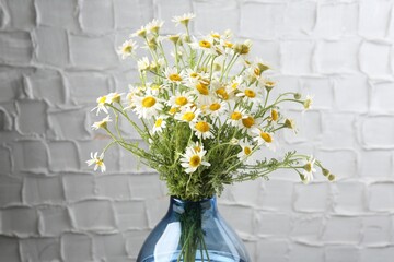 Beautiful chamomile flowers in vase near grey wall, closeup