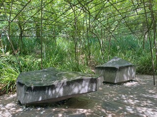 old wooden bridge