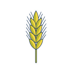 Illustration of a golden wheat stalk with dark blue outline on white