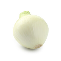 One whole ripe onion isolated on white