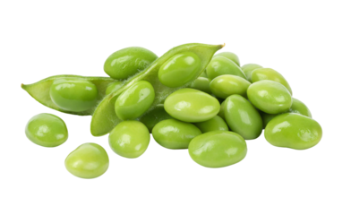 Fresh edamame beans shelled and in pods close up healthy food source asian cuisine plant based protein diet