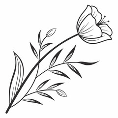 Elegant black and white floral branch design