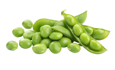 Fresh edamame soybeans in pods and shelled for healthy eating and snacking vegan diet food close up view