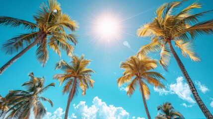 A stunning view looking up at tall palm trees reaching towards a bright blue sky, capturing the essence of a tropical paradise full of warmth, sunlight, and vibrant colors.