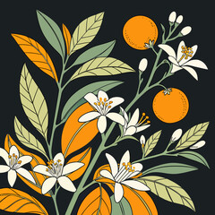 Orange blossom branch with fruit dark background